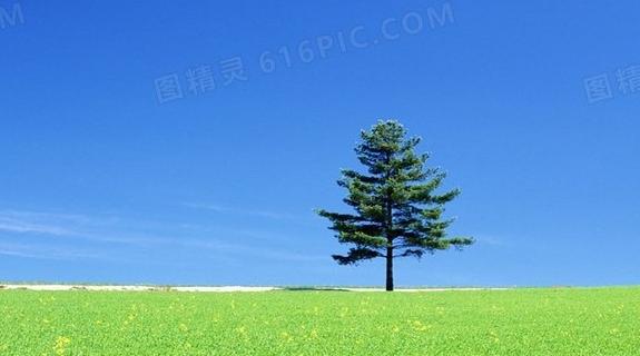 逆转衰老科技