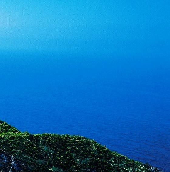 荒野召唤工厂化养殖