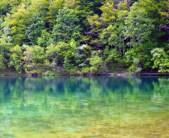 乔布简历官网登录