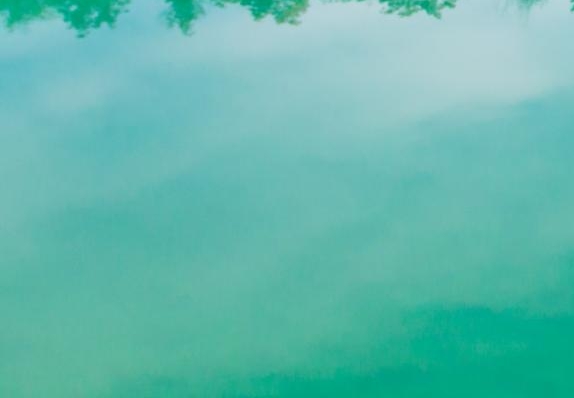 浙南创谷科技落户浙南科技城，黄了！最新消息曝光