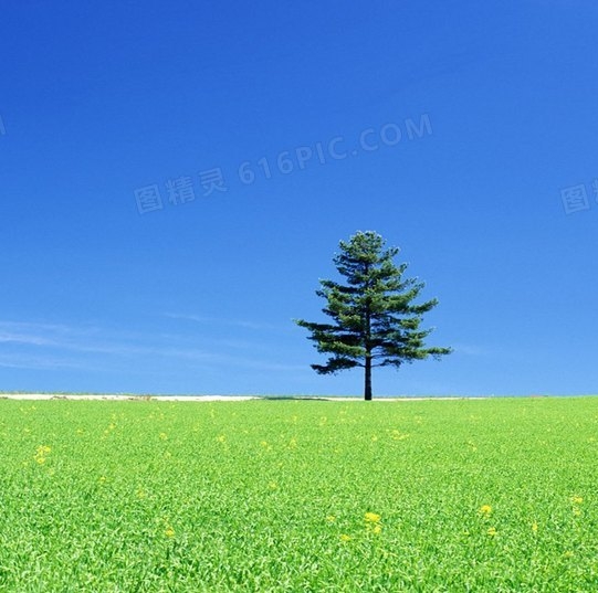 极欲科技客服：为您提供卓越的科技体验