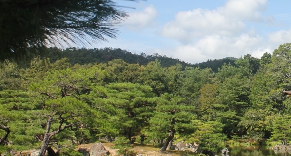 中山医院