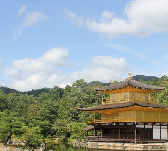 洛丽塔：同居生活、现实事件与她的生活