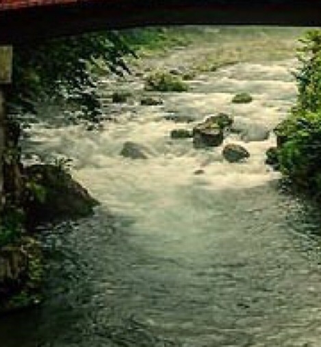 巍山王晓龙简历
