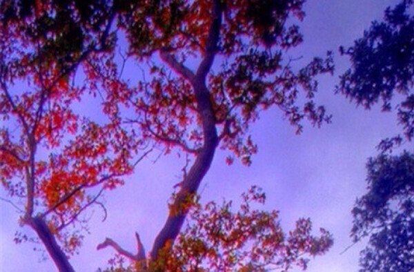 steam能看到对方姓名吗