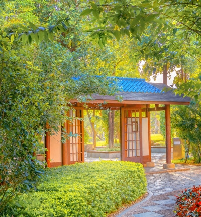 从重生乡村到日本，我们的文艺生活起点