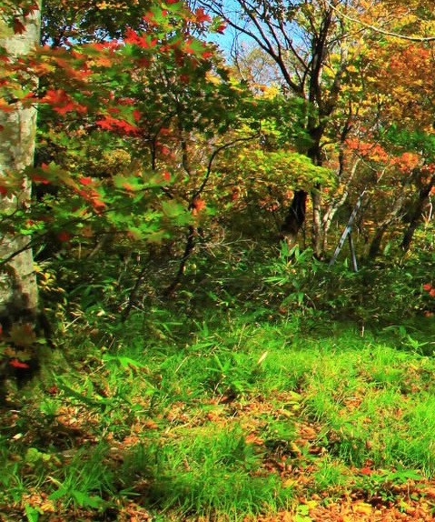 马寅初：人口理论创造罕见奇迹，生平简介揭秘
