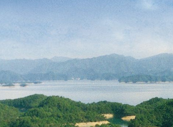 合租生活计与深圳合租生活详解