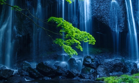 石狮科技有限公司