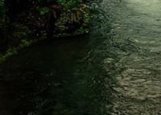 美味酱油美味鲜