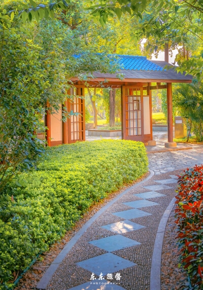 乏味的生活突然有个富婆