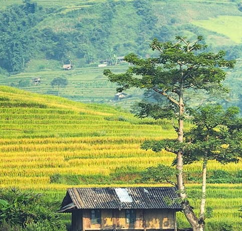 东方吴跃简历