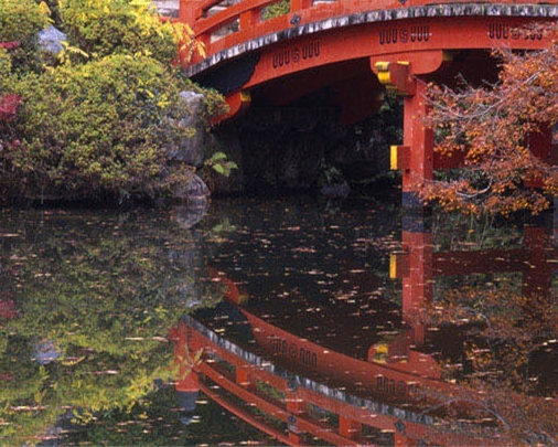 苏国新简历