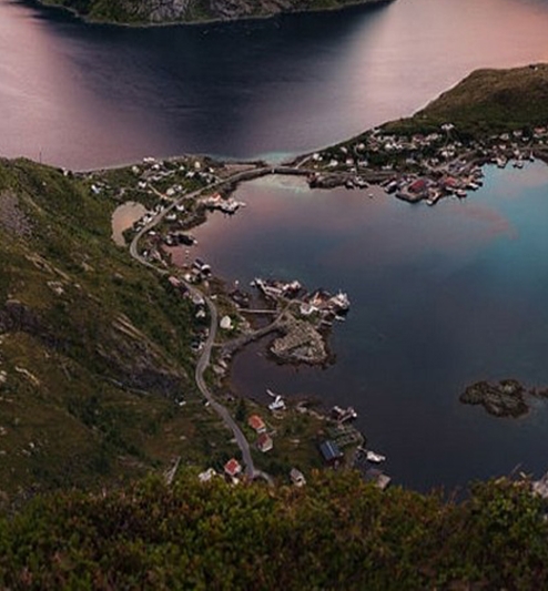 张馨元华泰简历