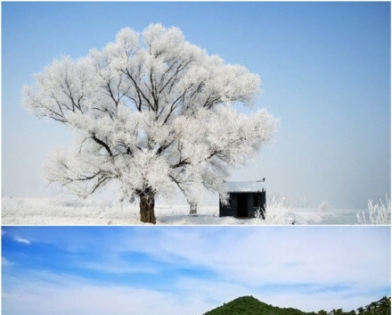 长阳万丹简历