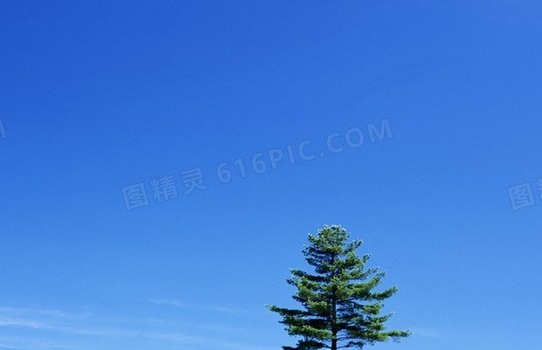 北京小鸟Pk淳中科技
