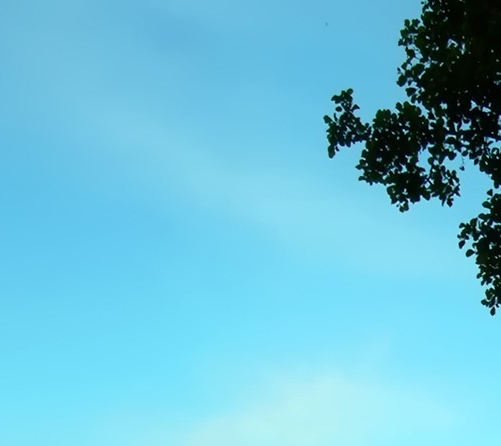 怎样设置来电转接