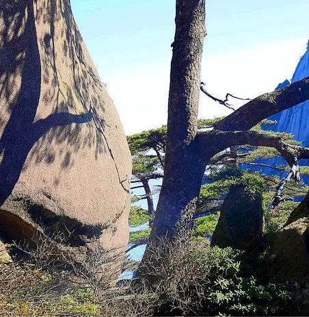 氮科技与beng科技测试：李宁beng科技胜过安踏氮科技？