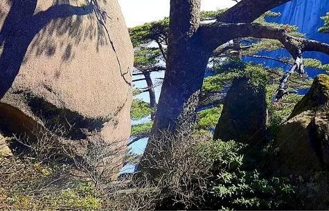 地球科技图片