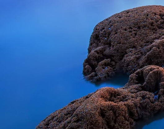 包中海简历
