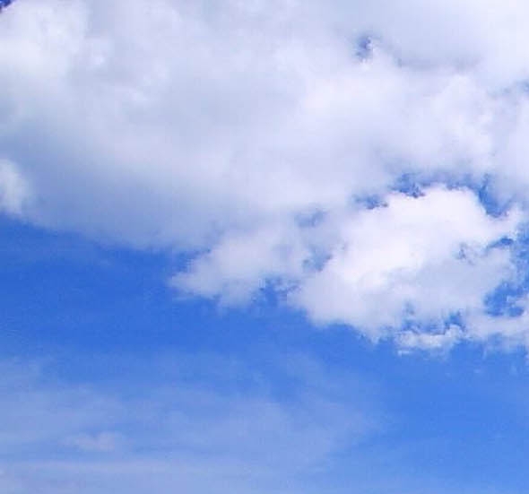 检测行业怎么样