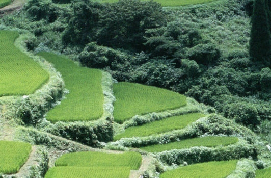 孙江山简历
