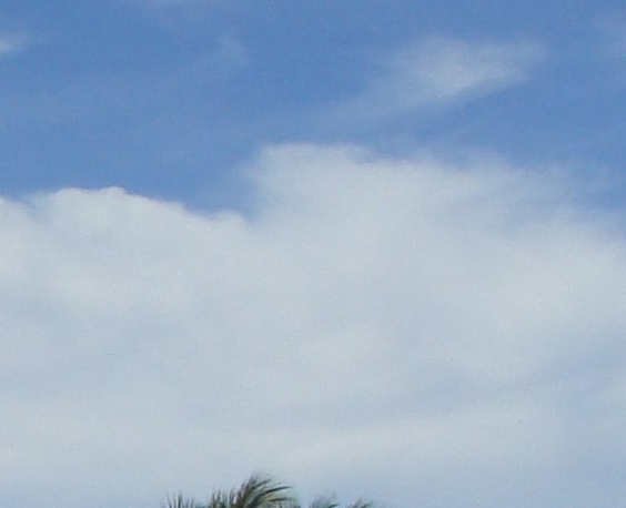 珠海博雅科技