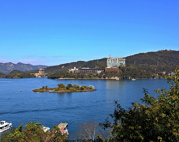 奇迹熊先生剧情：预测明日奇迹！