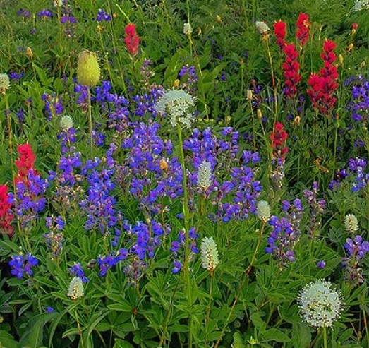 奇迹暖暖怎么账号登录