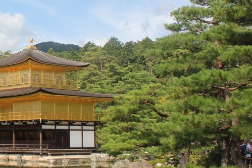 青岛大数据局张燕简历