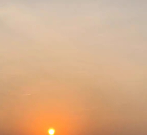 科技兴蒙政策