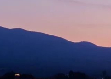 深圳美味不用等公司怎样