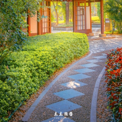 何有才简历
