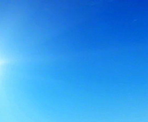 荒岛生活15天