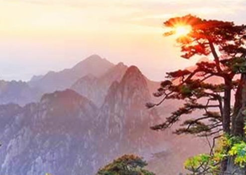 峡谷 无人机