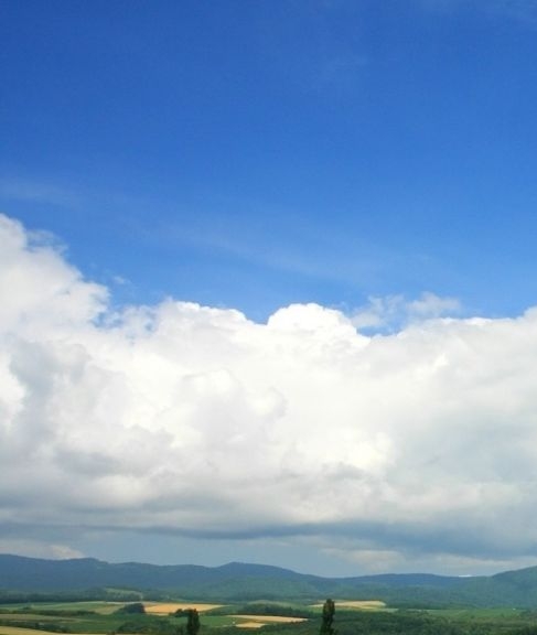 Elvie黑科技搭配Viva仪器，打造高效健康管理系统