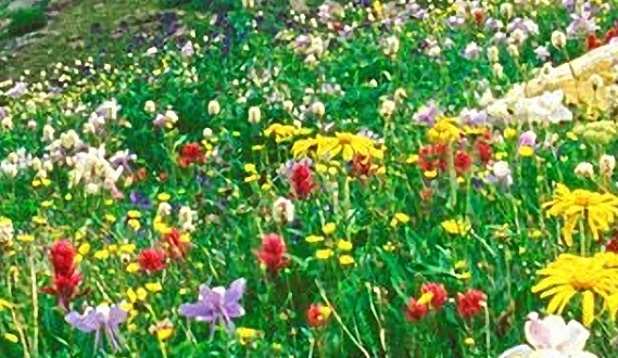 从砍分奇迹到奇迹砍3挂机点，精分痊愈是最大奇迹