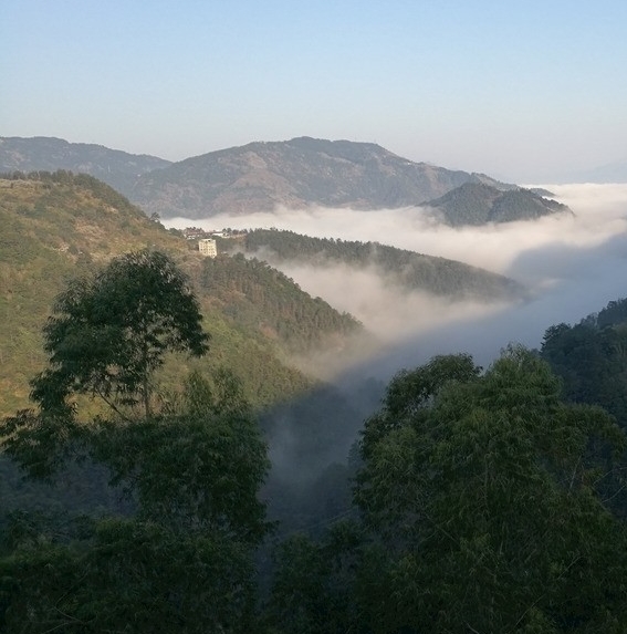 贺志公 简历