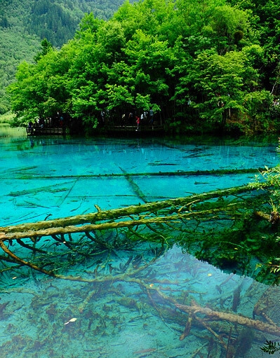 腾名阁免费姓名测试打分