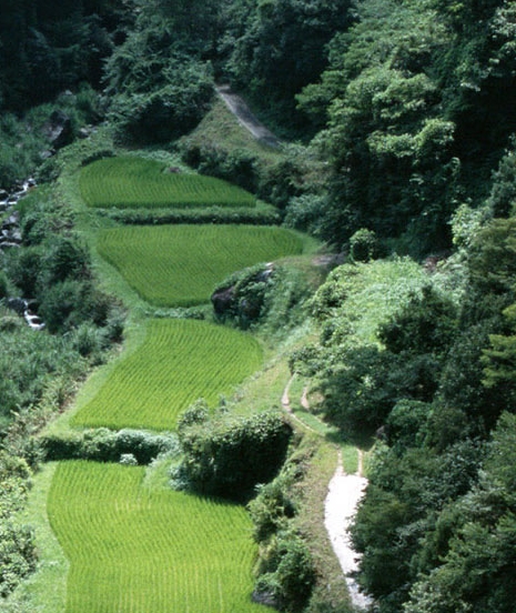 东莞尹华文简历跟胜利油田舒华文简历详解