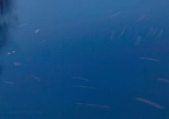 菩泰生活下载