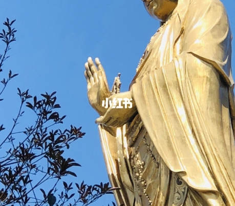 塞尔维亚居家生活优于爱尔兰移民后悲惨生活，生活水平更高