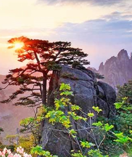 小冰块的生活