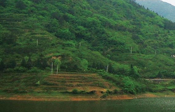 小小天鹅洗衣机