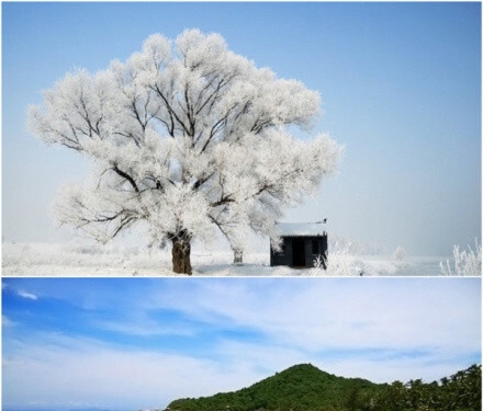 宝家乡野科技怎么样