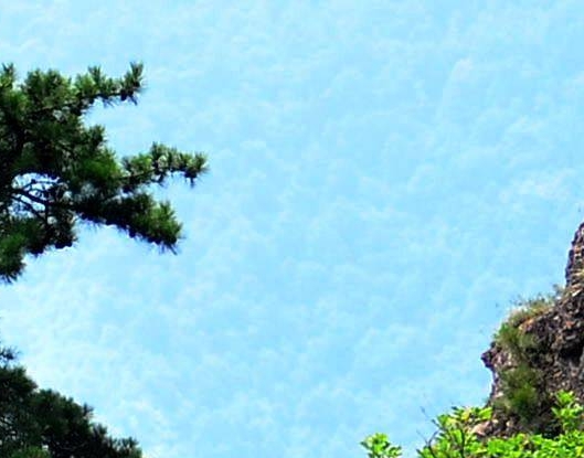 孙姓名人故事