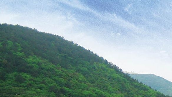 奇迹秀山鱼化石