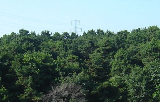 同心宋继忠简历