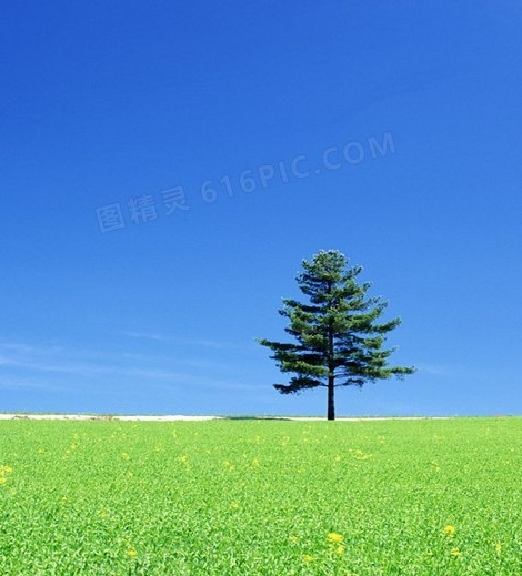手游导师奇迹君带你畅玩奇迹2和魔狱奇迹手游官网