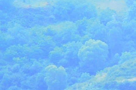 桃源生活正版下载